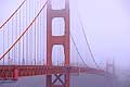 8811 - Photo : USA, Etats-Unis, Californie, San Francisco, Image of America - Golden Gate Bridge