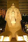 8854 - Photo : USA, Etats-Unis, Nevada, Las Vegas, Image of America - Luxor Sphinx