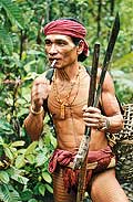 9250 - Photo : Asie - Siberute, Indonsie, Indonsia Homme-fleur, Mentawai - Asia