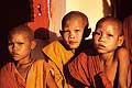 9275 - Photo : Asie - Laos - Asia- Jeunes moines