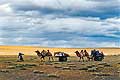 9303 - Photo : Asie - Mongolie, Mongolia - Asia - Caravane de nomades, dsert de Gobi