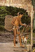 9429 - Photo : Hommes-fleurs, Mentawais, le de Siberut, Indonsie