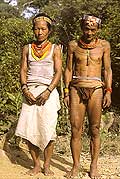 9439 - Photo : Hommes-fleurs, Mentawais, le de Siberut, Indonsie