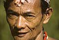 9445 - Photo : Hommes-fleurs, Mentawais, le de Siberut, Indonsie