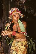 9455 - Photo : Hommes-fleurs, Mentawais, le de Siberut, Indonsie