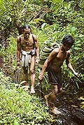 9484 - Photo : Hommes-fleurs, Mentawais, le de Siberut, Indonsie