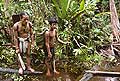 9487 - Photo : Hommes-fleurs, Mentawais, le de Siberut, Indonsie